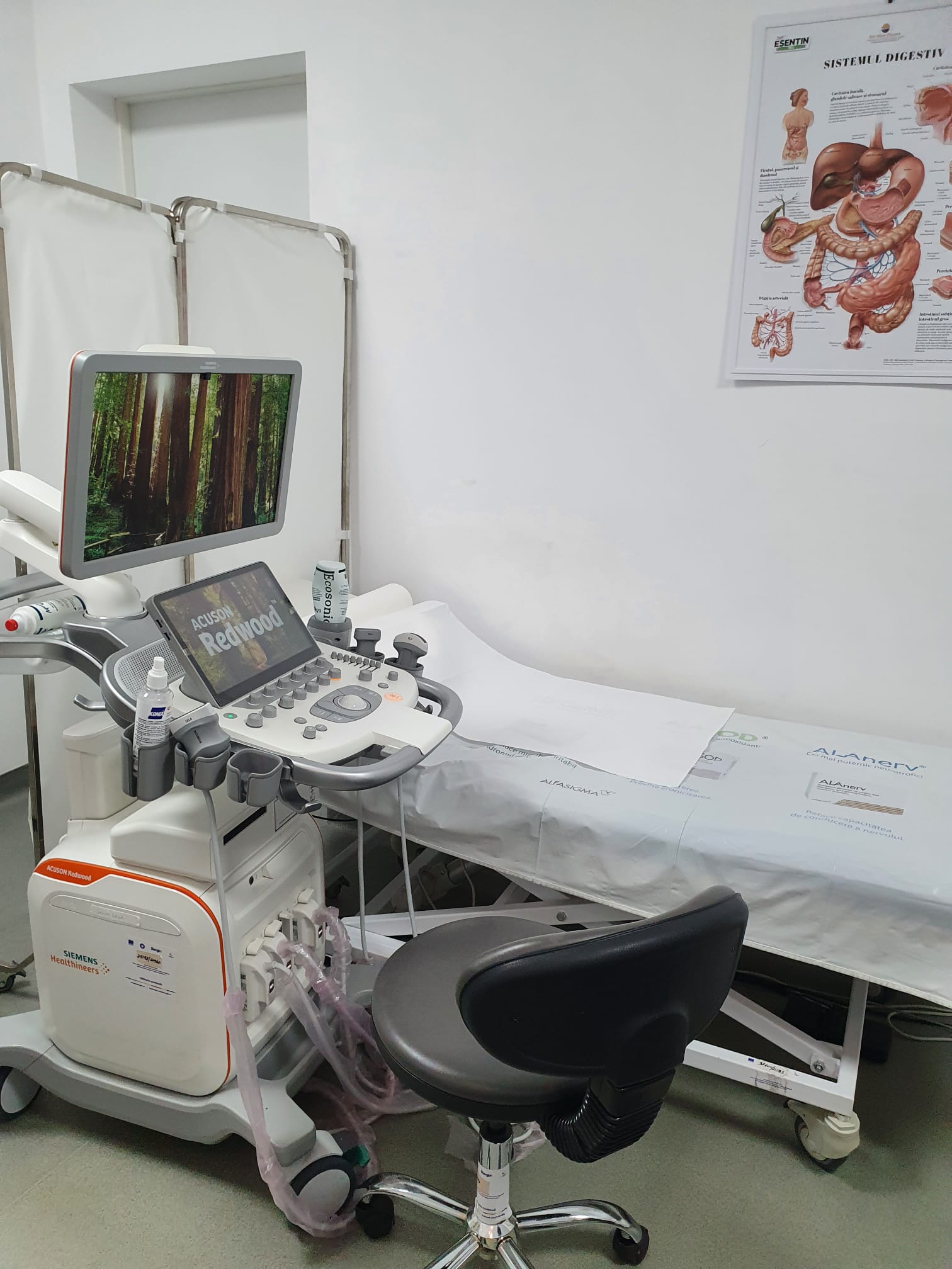 Ecografie-Gastro